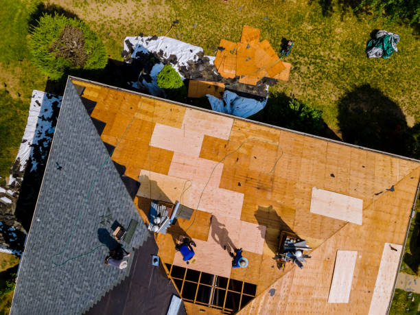 Best Roof Maintenance Services  in St Marys, GA